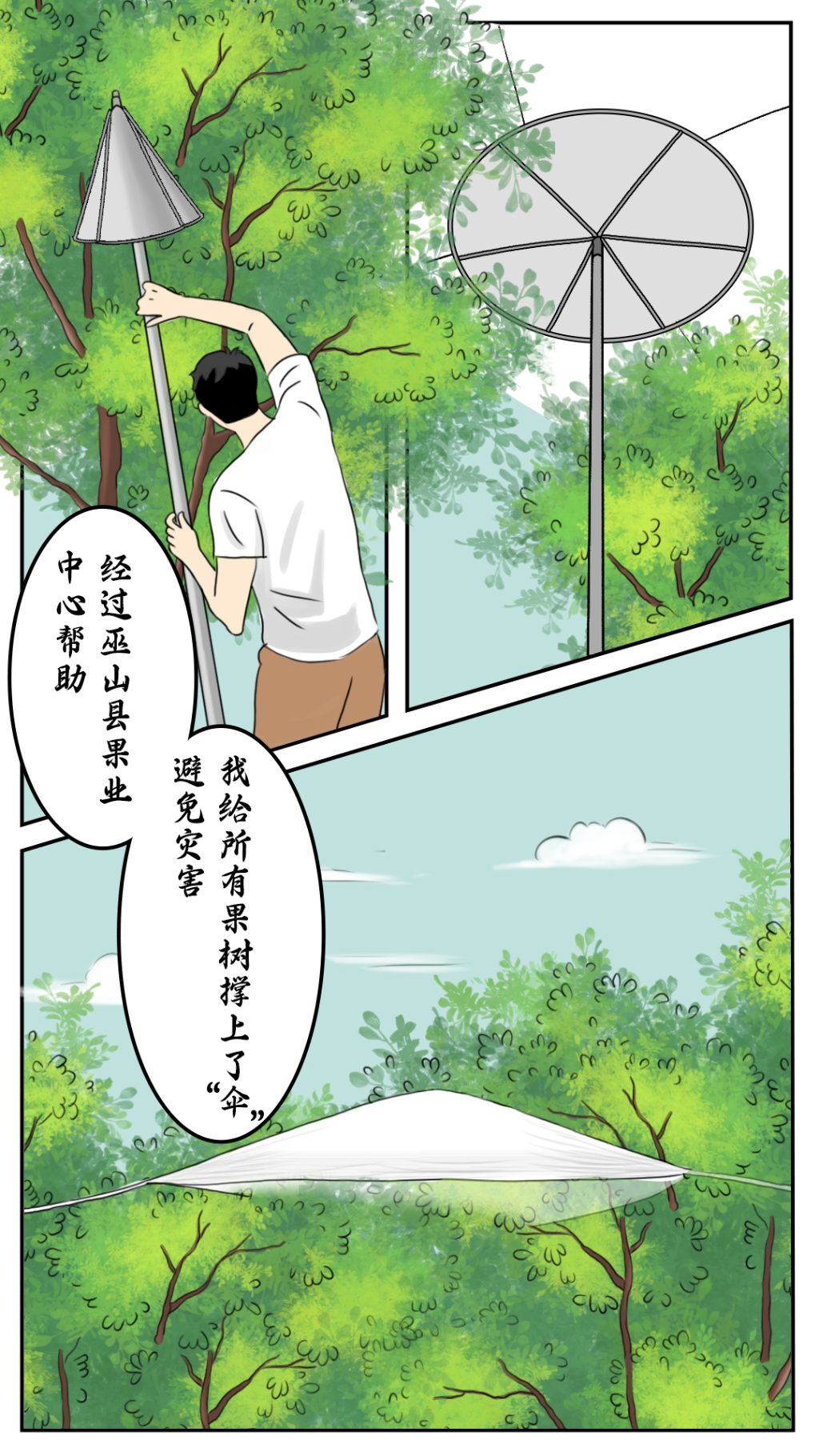 3