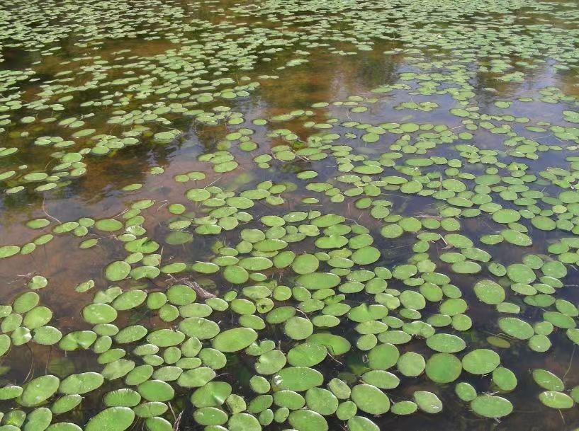 ͼ6