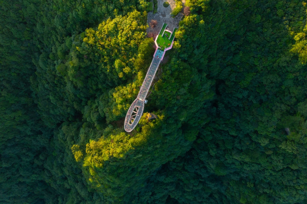 籤