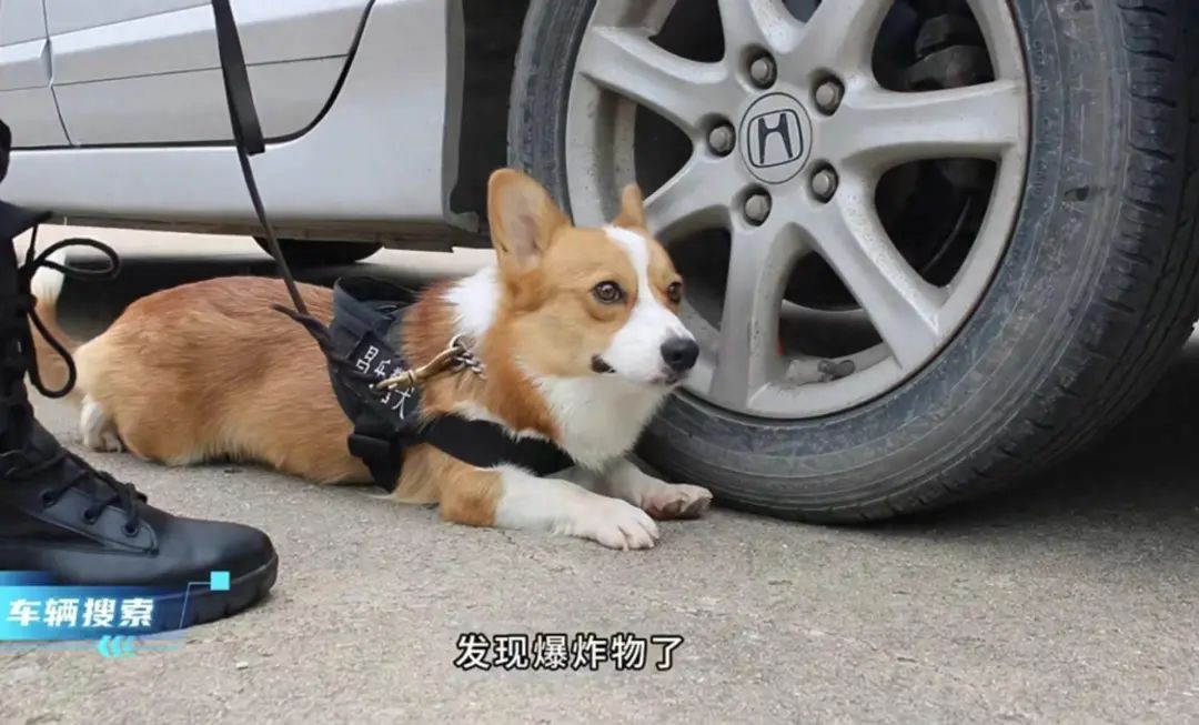 δͼƬ
